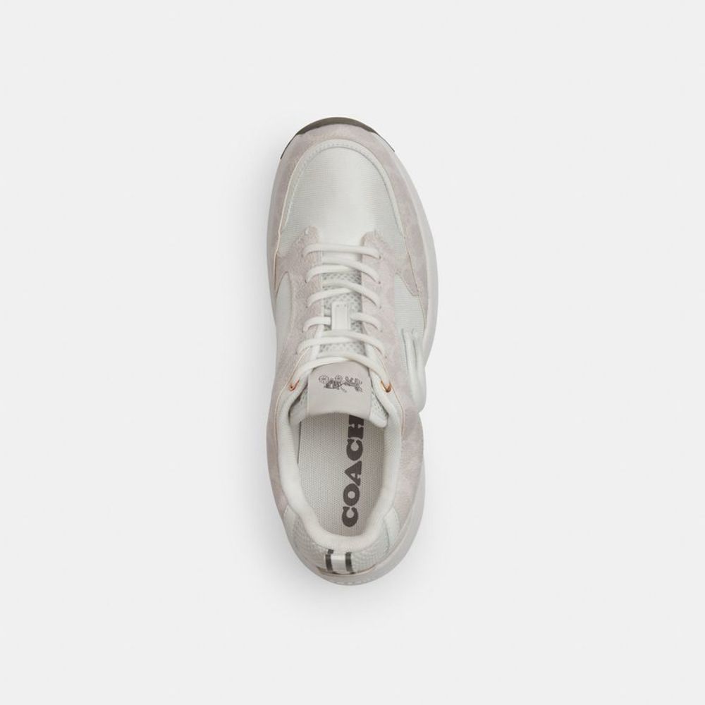 NWT Coach Outlet Strider Sneaker In Signature Canvas - Picture 3 of 6